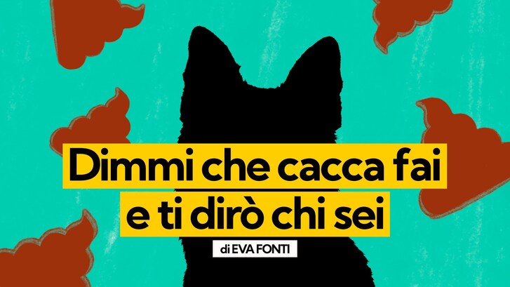 Immagine
