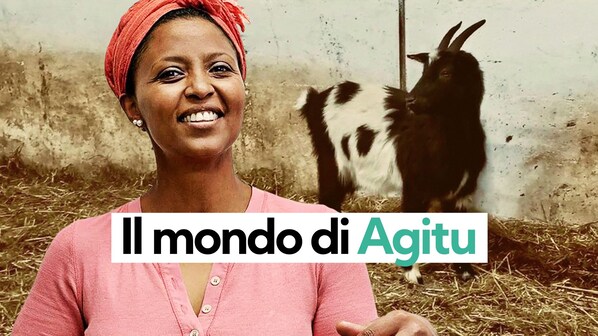 Immagine
