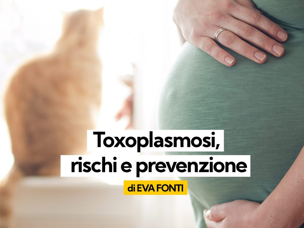 Toxoplasmosi in gravidanza rischi, contagio e prevenzione