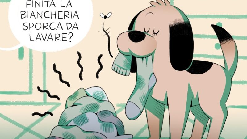 La motivazione sillegica