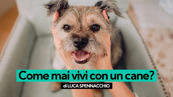 Immagine