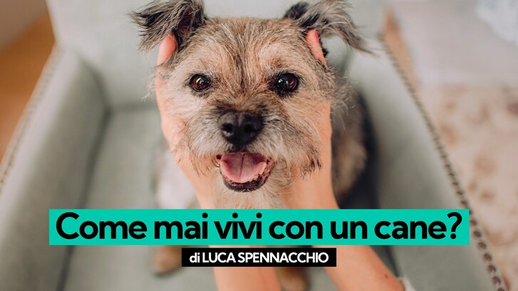 Immagine