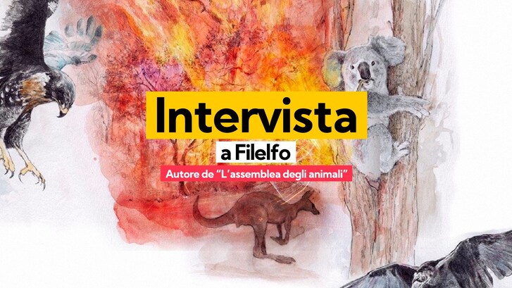 Immagine