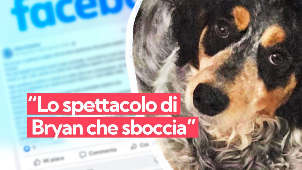 Immagine