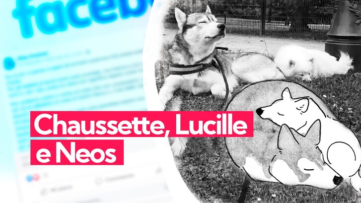 Il fumetto di Lucille