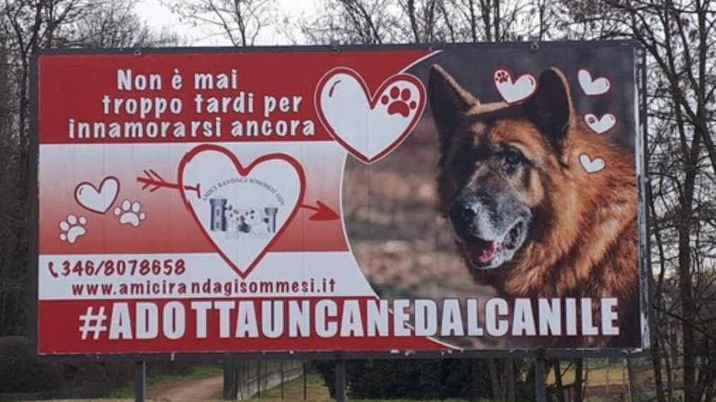 Immagine