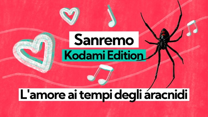 Immagine