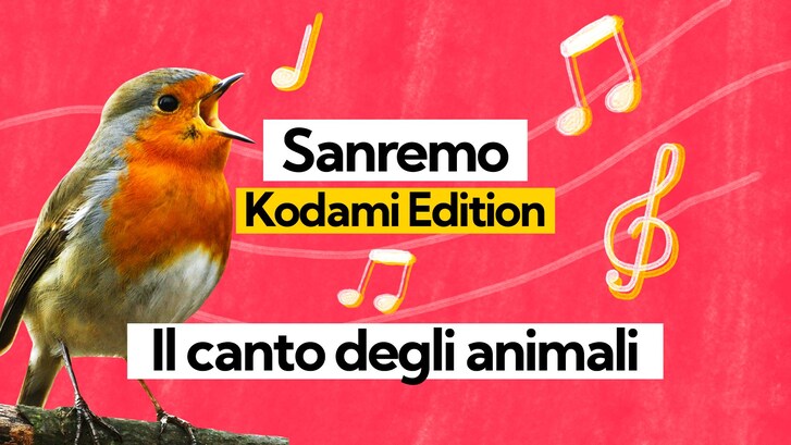 Immagine