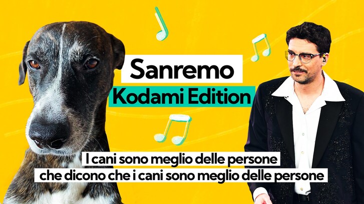 Immagine