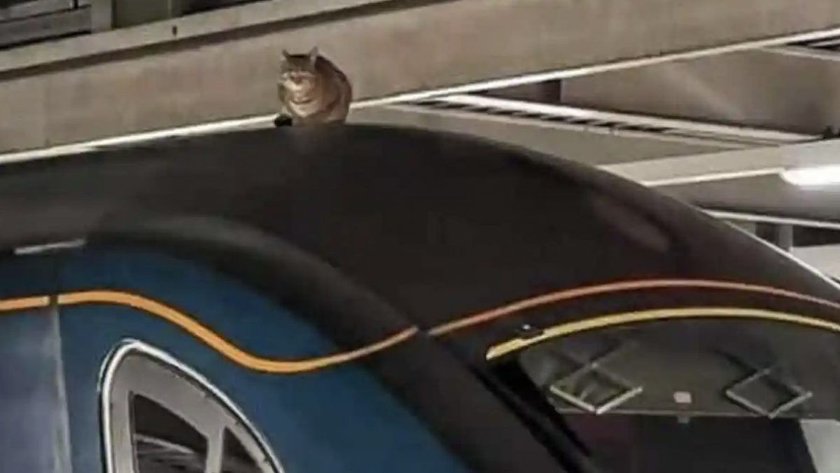 credits: Network Rail/PA