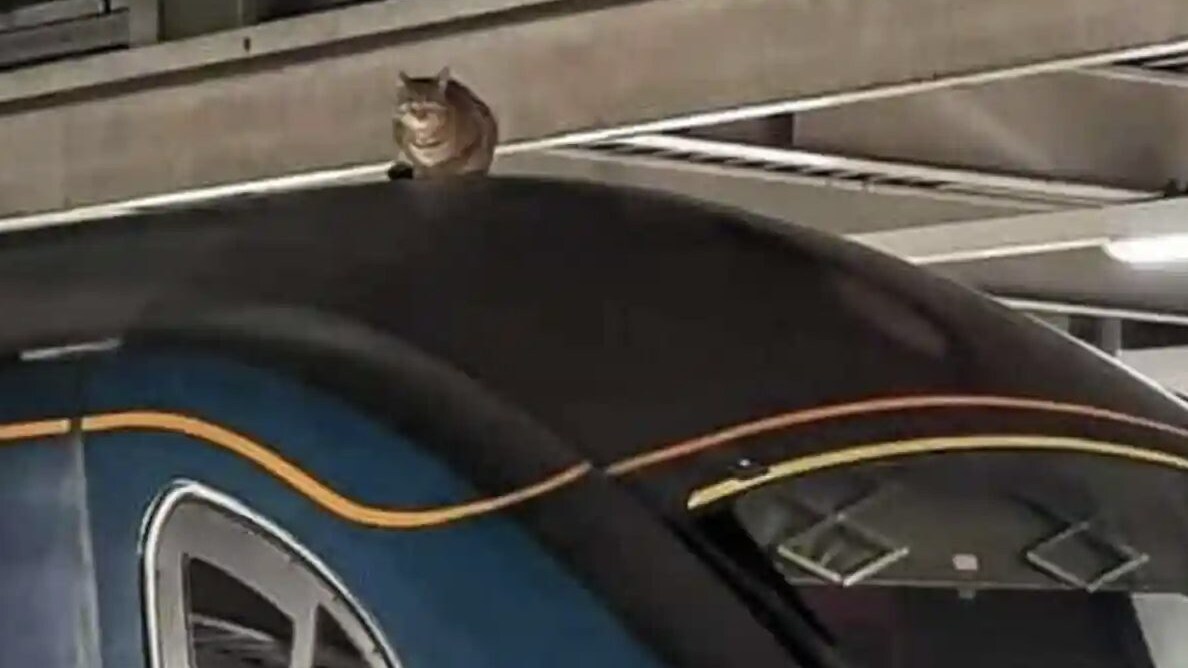 credits: Network Rail/PA