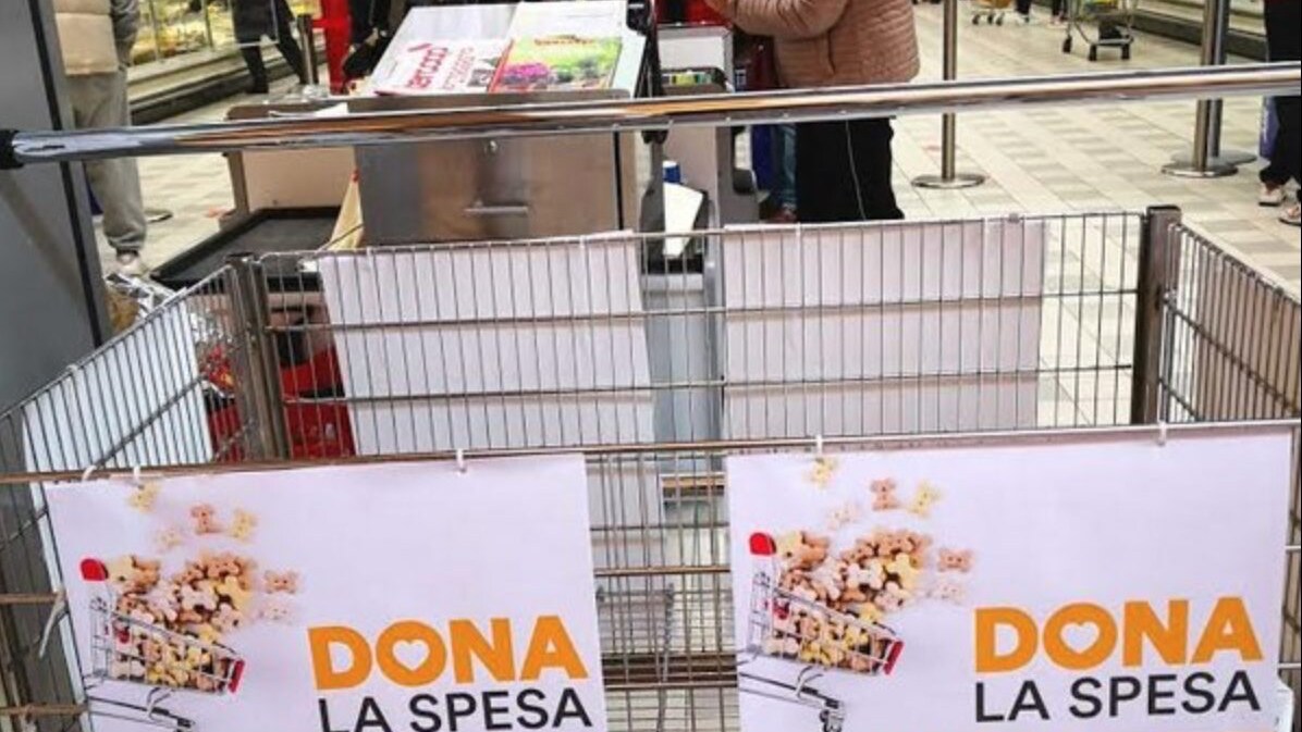 Immagine