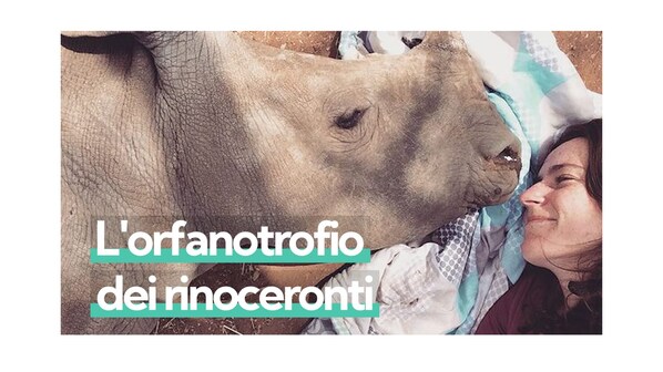 Immagine