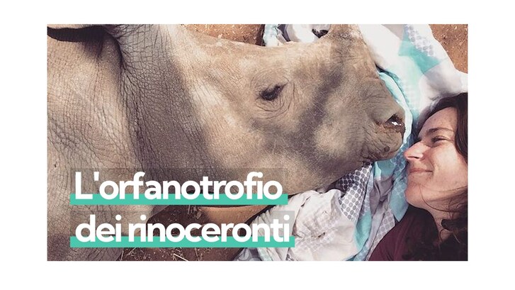 Immagine