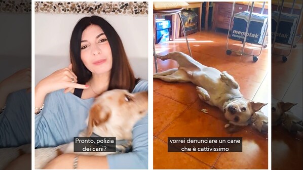 Immagine