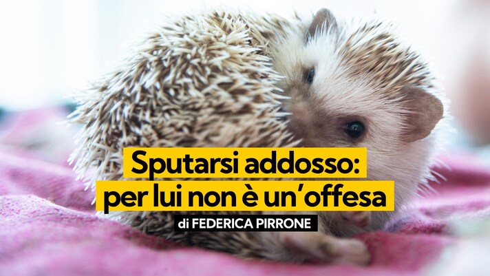 Immagine