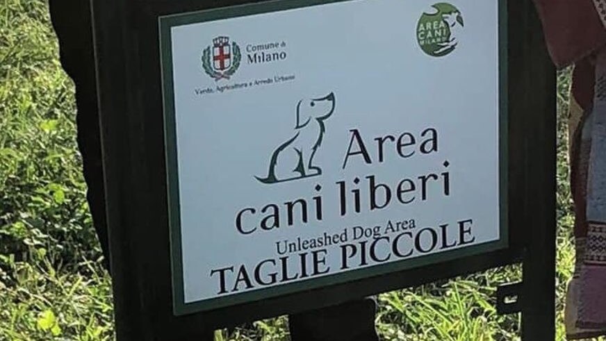 Immagine