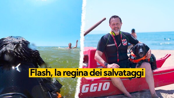 Immagine