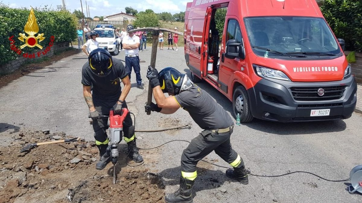 cane intrappolato vigna di valle