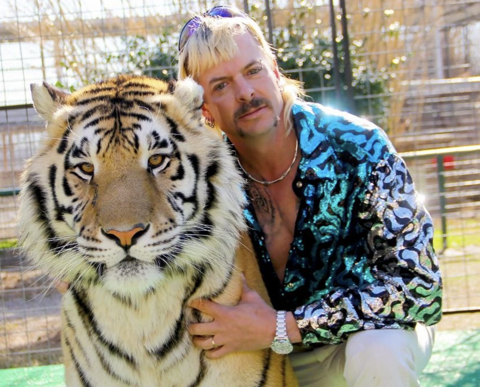 Tiger King