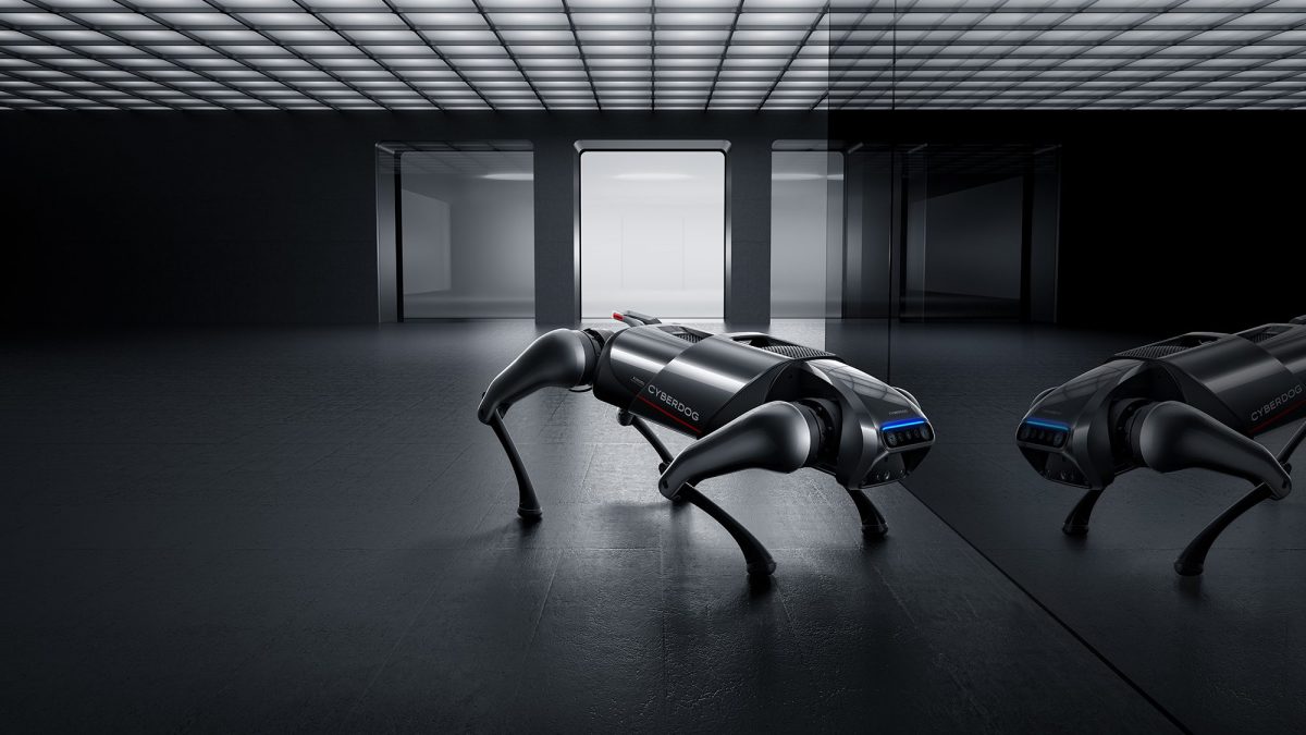 cyberdog