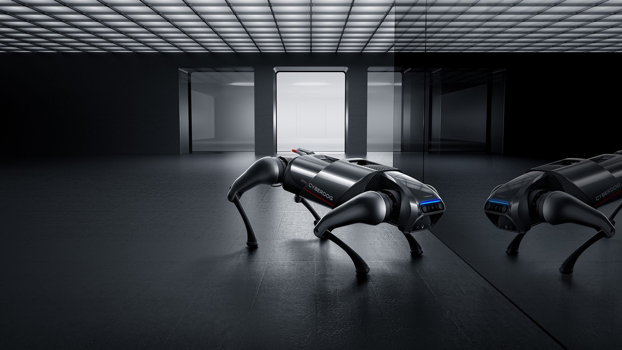 cyberdog