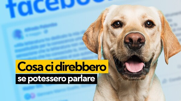 Immagine