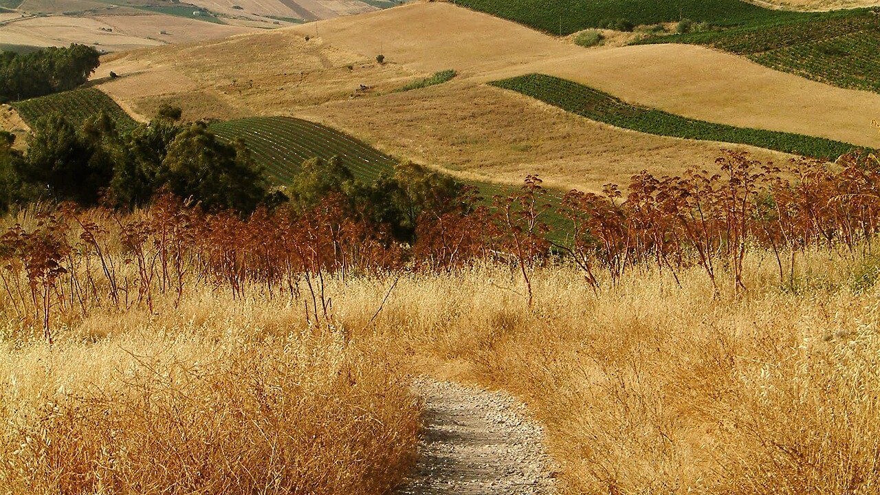 campagna sicilia