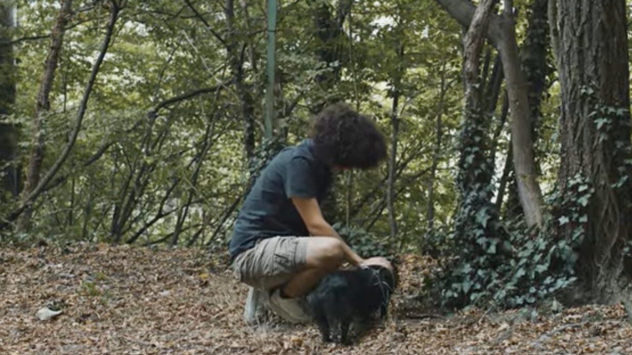 abbandono animali