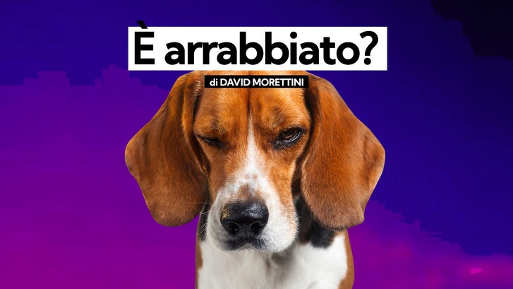 Immagine