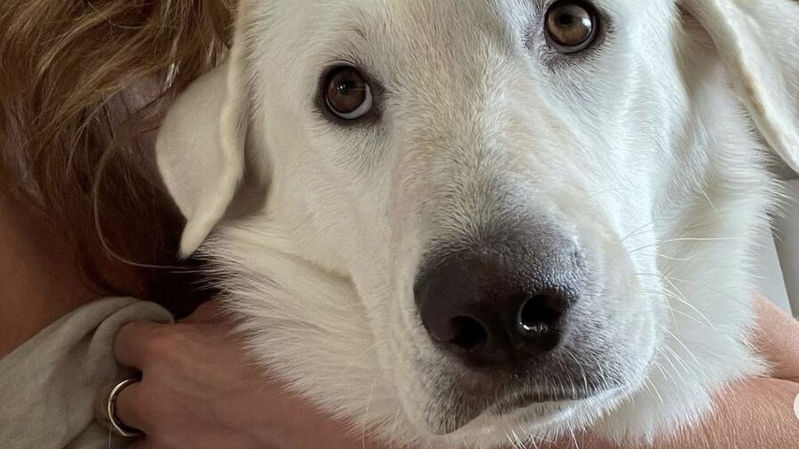 lord chesterfield jennifer aniston