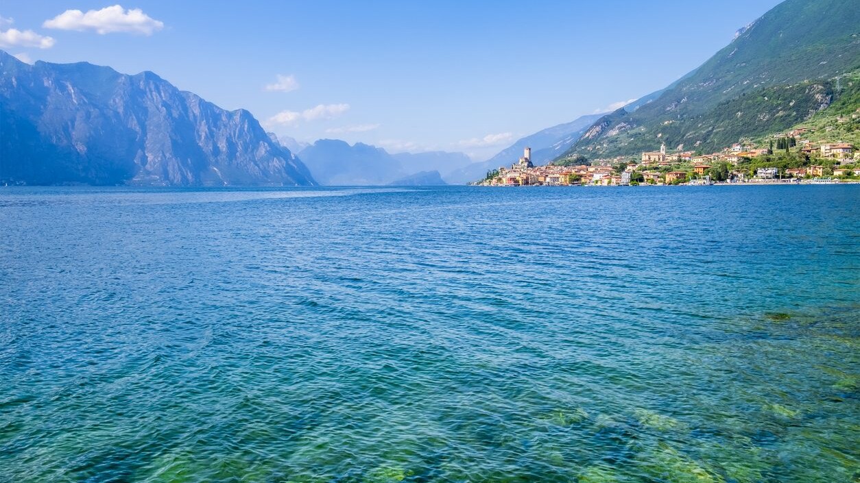 Immagine