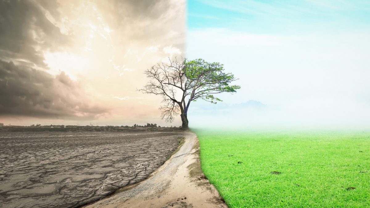 clima cop26, foto copertina | Kodami