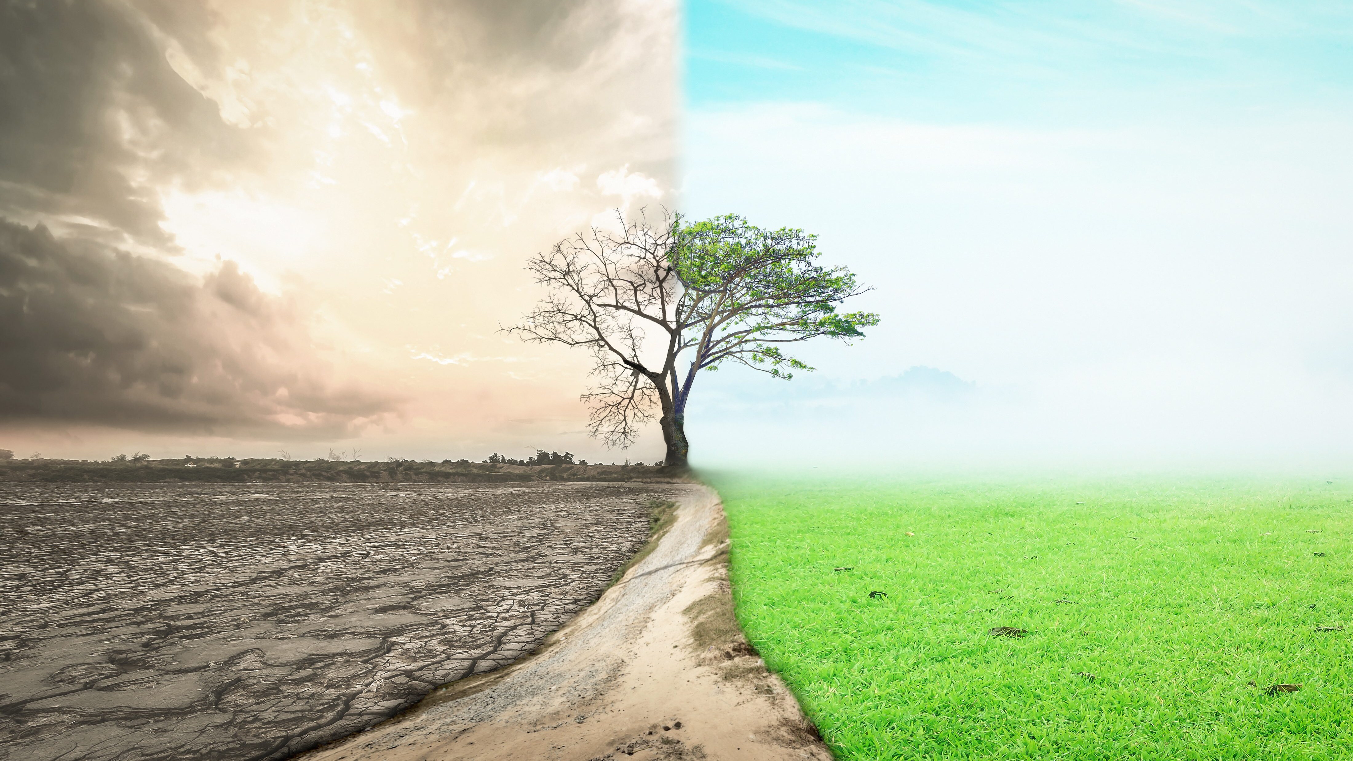 clima cop26, foto copertina | Kodami