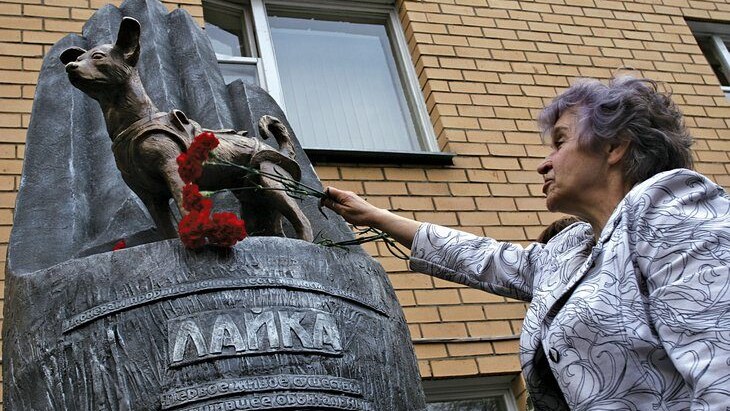 Laika, foto copertina | Kodami