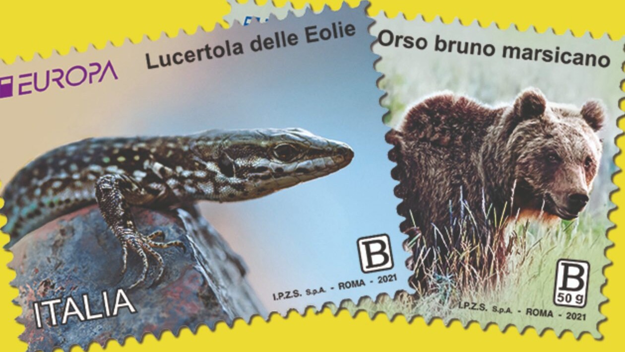 Immagine