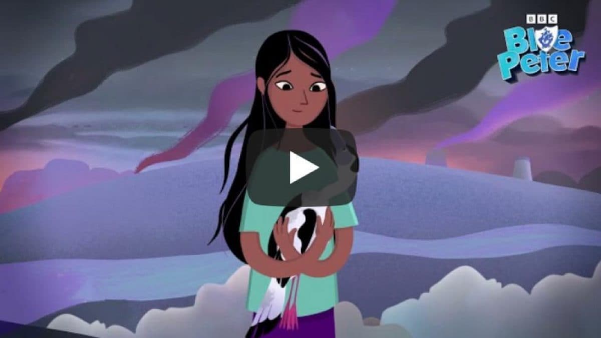 Blue Peter, foto copertina | Kodami