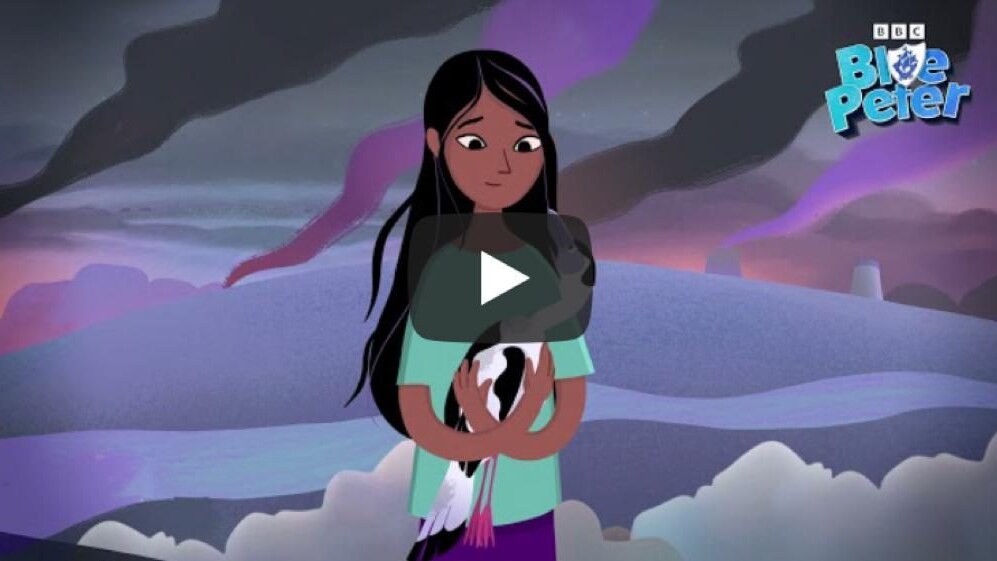 Blue Peter, foto copertina | Kodami