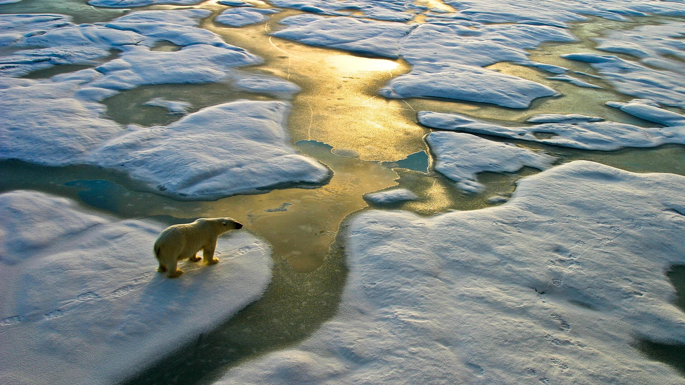 Cop26