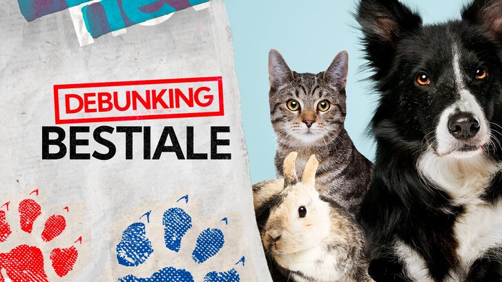 Divieto animali affezione