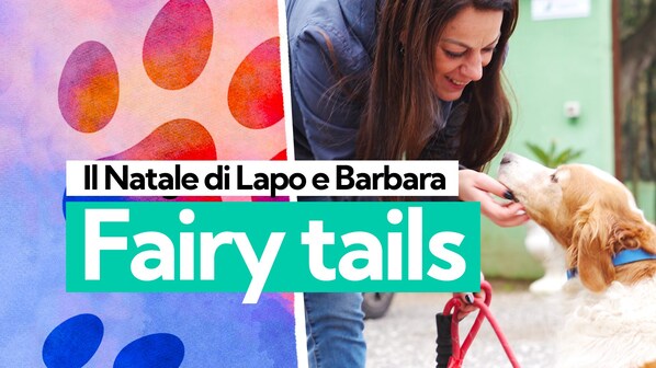 Fairy Tails