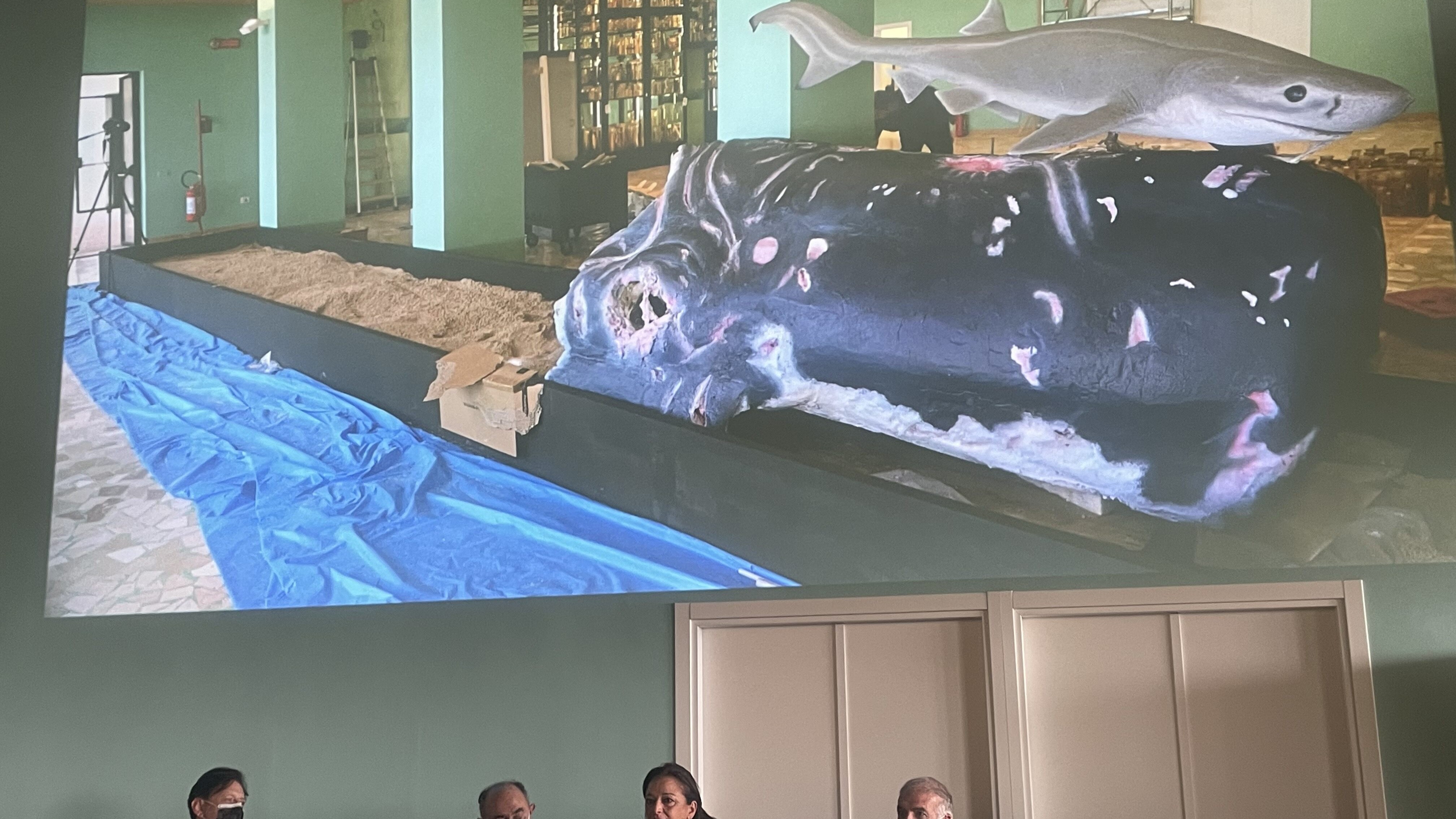 Inaugurazione Museo Darwin-Dohrn