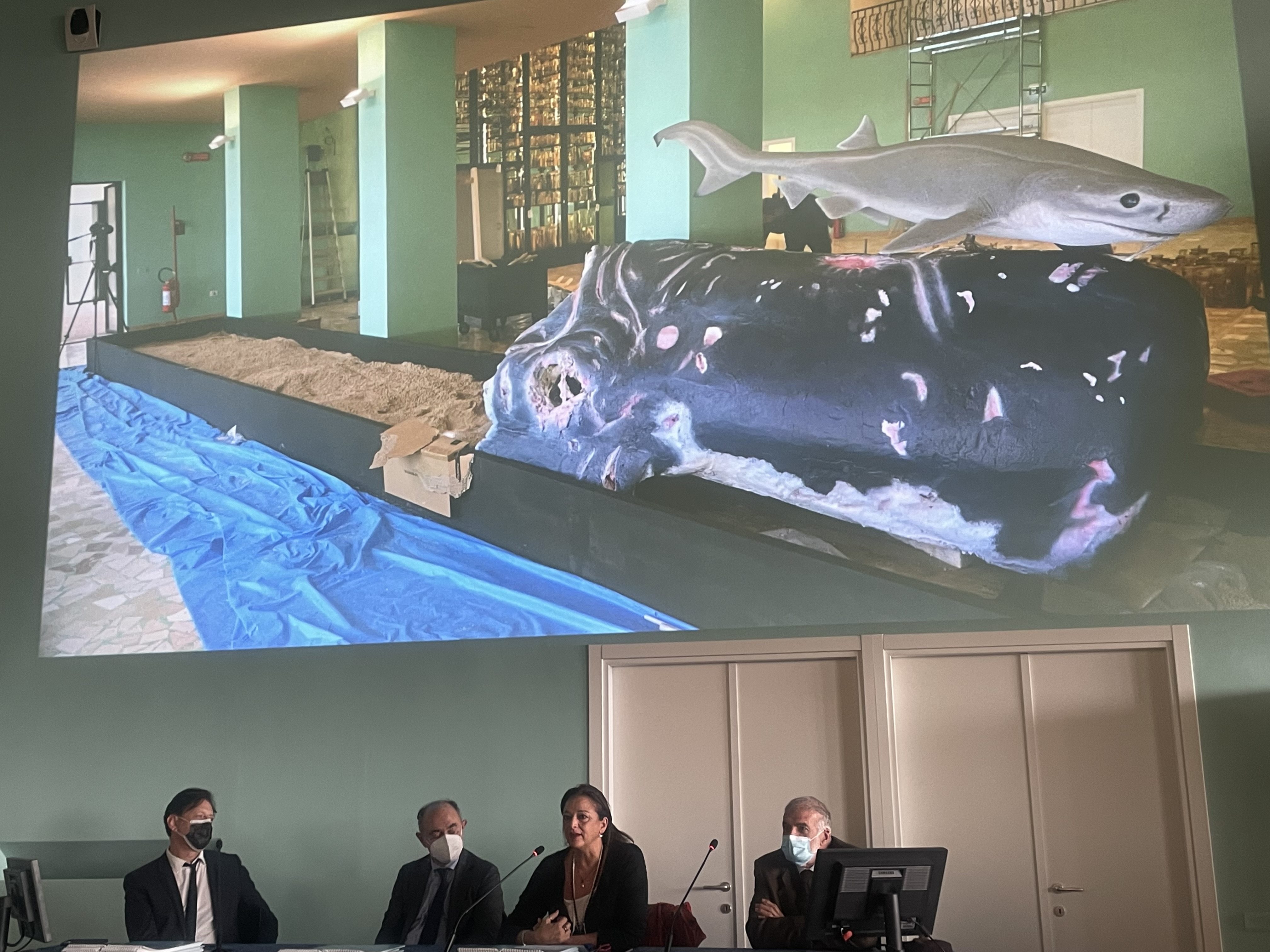 Inaugurazione Museo Darwin-Dohrn