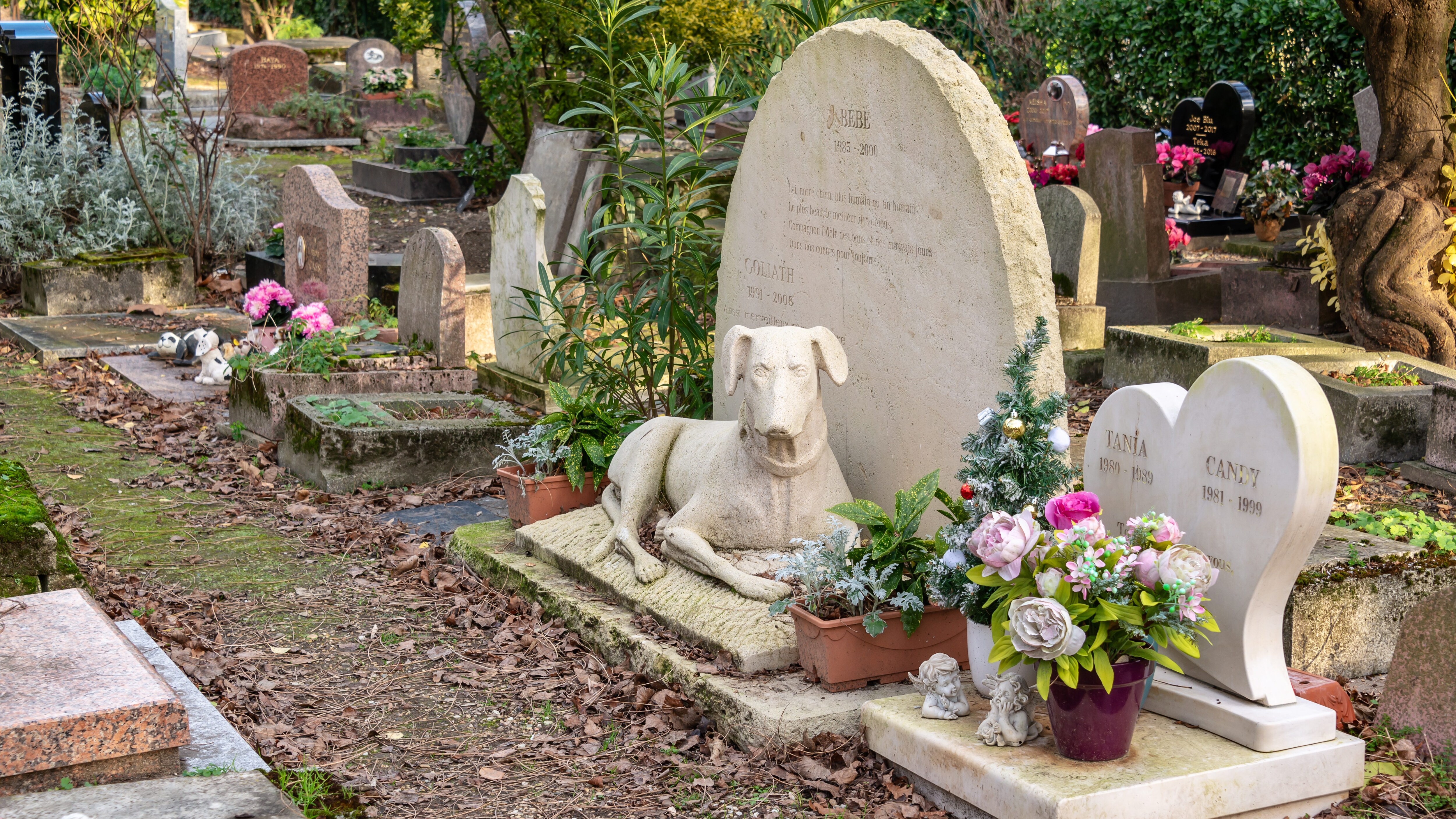 cimitero monumentale