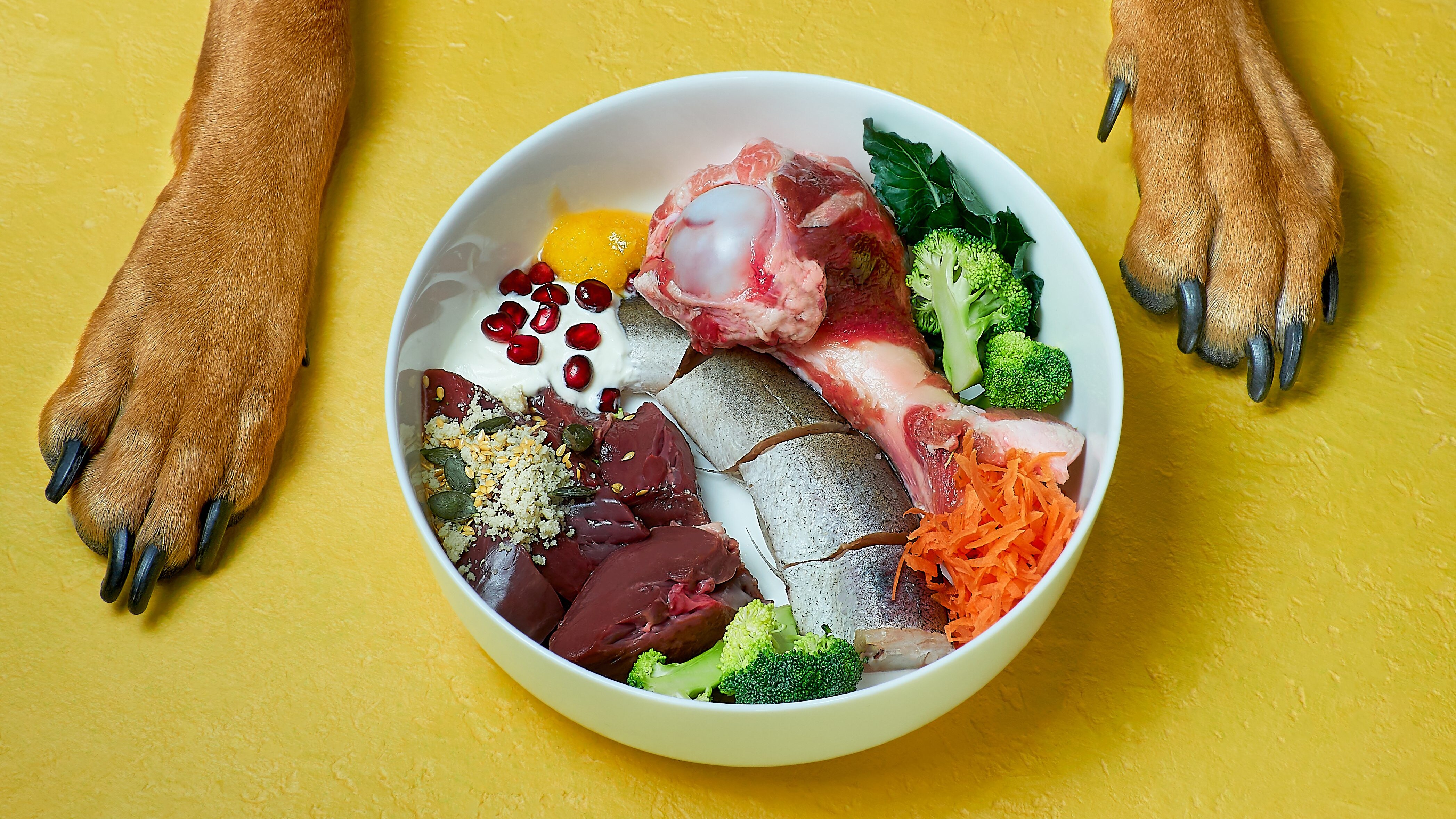 Che tipo di pesce dare al cane