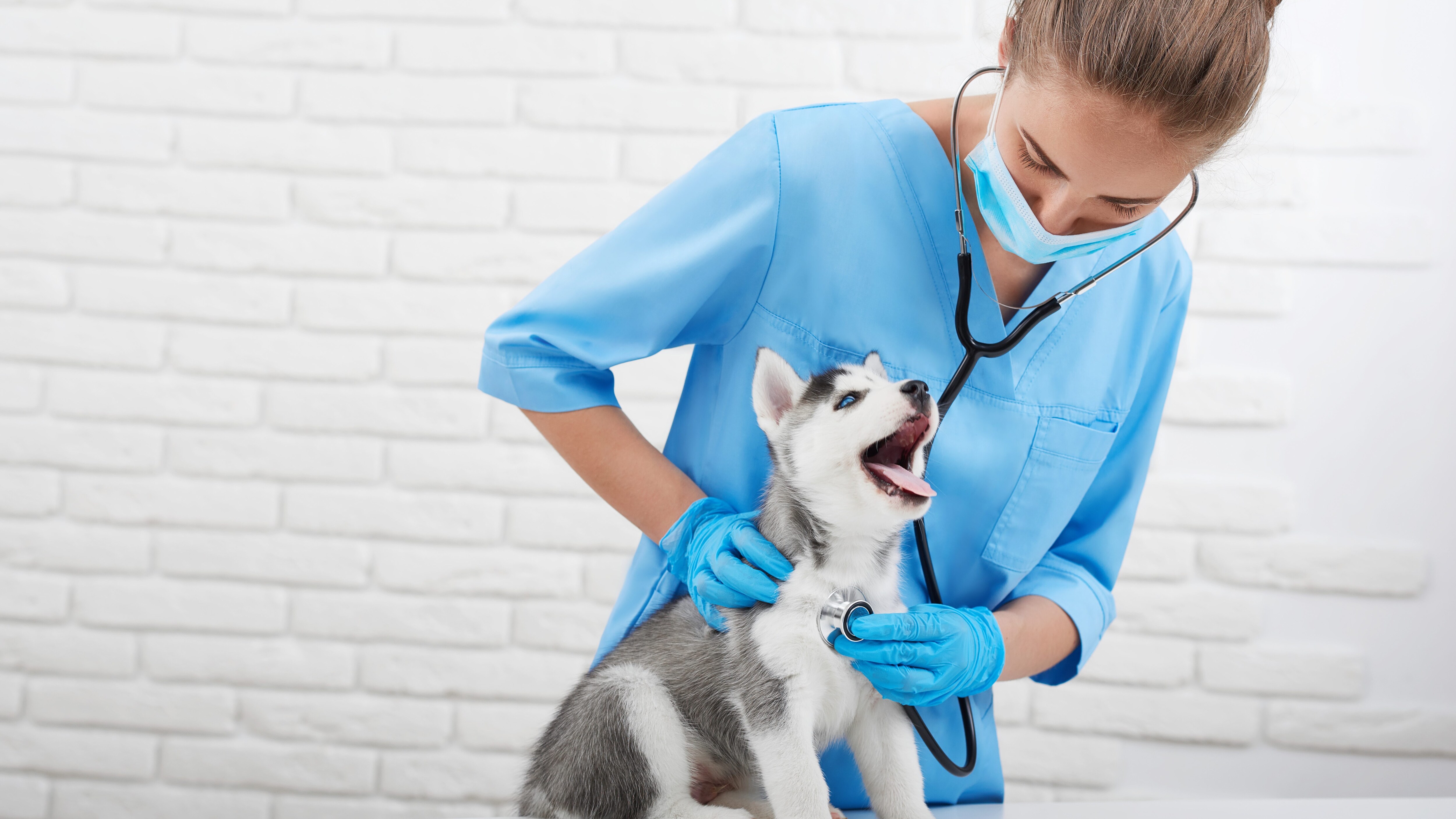 farmaci per uso umano