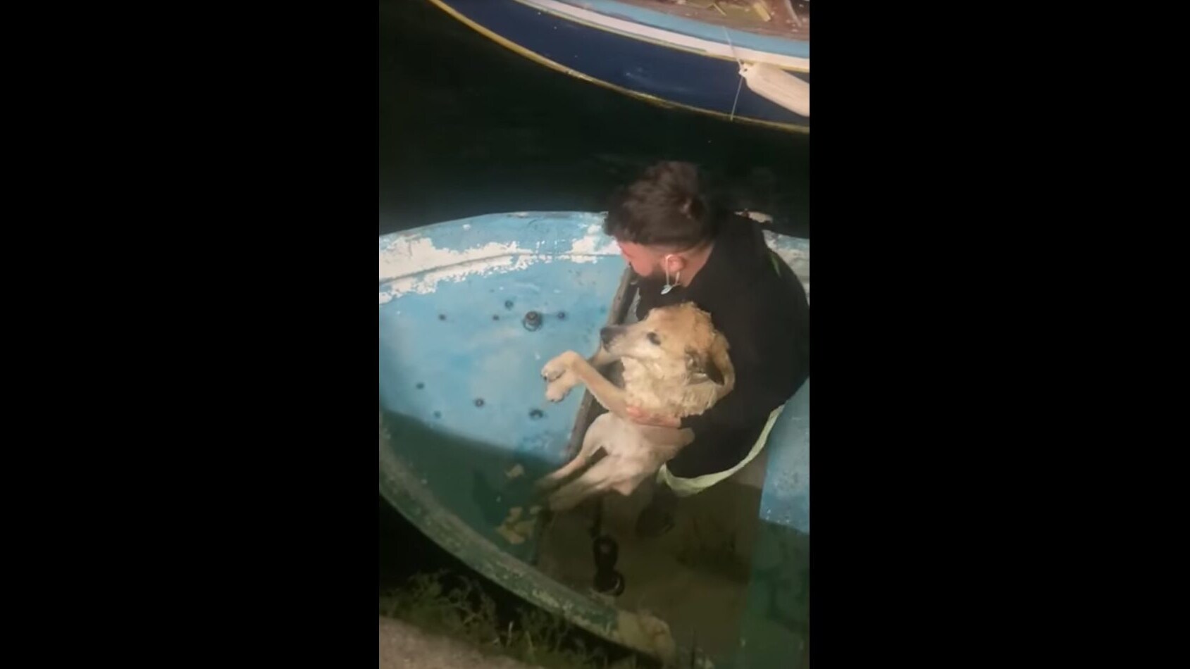 cane salvato Lungomare