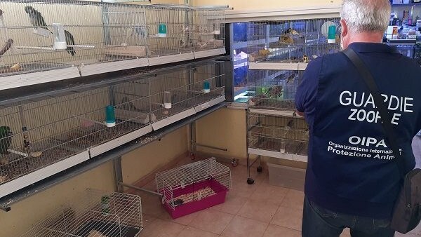 guardie zoofile oipa roma negozi