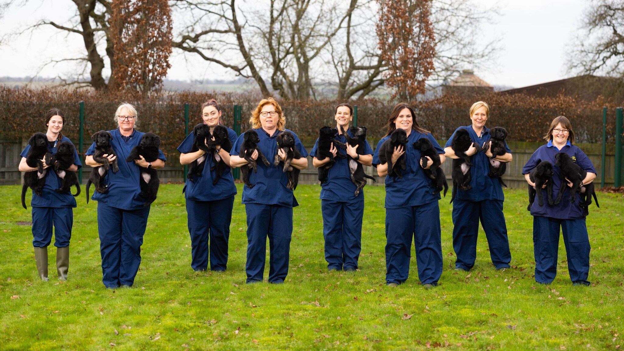 guide dogs charity