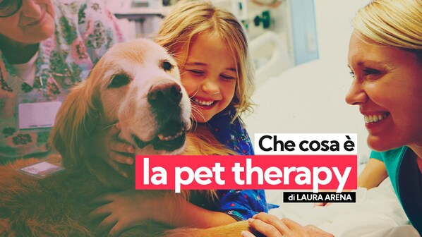 pet therapy